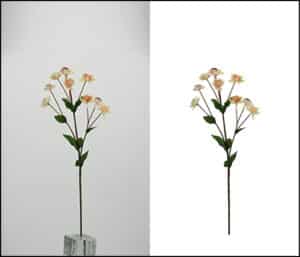 Clipping path services