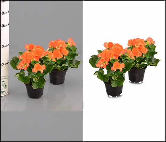 photo clipping path services
